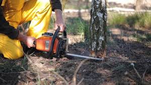 Best Lawn Grading and Leveling  in Sultana, CA