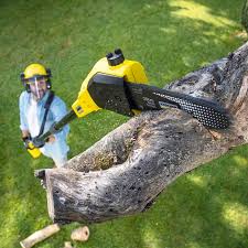 Best Storm Damage Tree Cleanup  in Sultana, CA