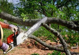 Best Lot and Land Clearing  in Sultana, CA